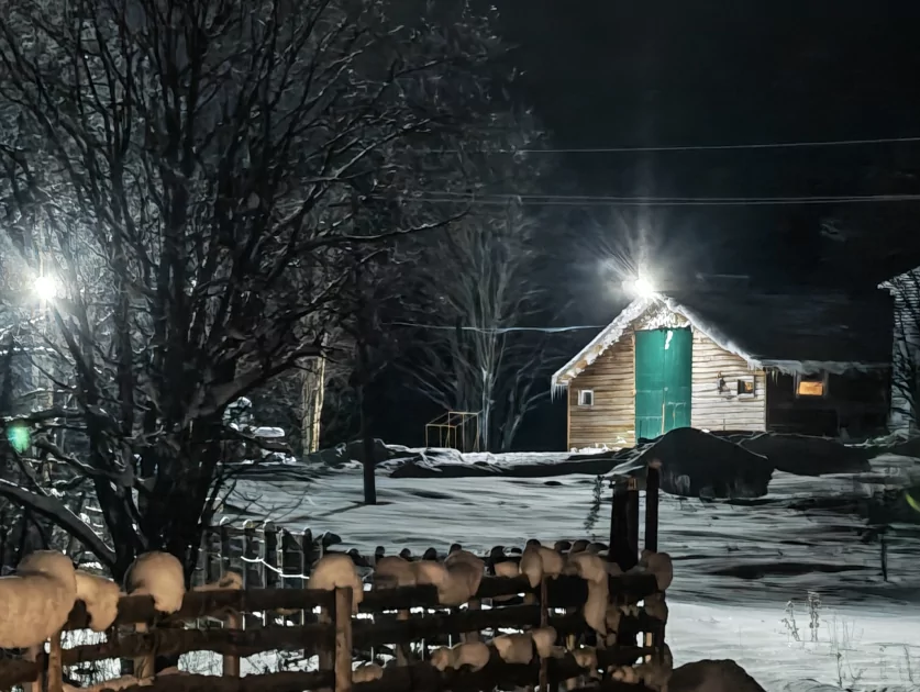 200 Мп, флагманский чип и ёмкая батарея: обзор HONOR Magic8 Pro — Качество снимков. 54