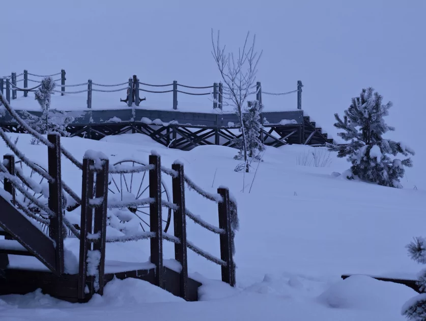 200 Мп, флагманский чип и ёмкая батарея: обзор HONOR Magic8 Pro — Качество снимков. 56