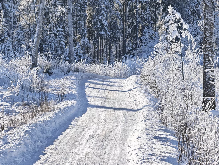 200 Мп, флагманский чип и ёмкая батарея: обзор HONOR Magic8 Pro — Качество снимков. 59