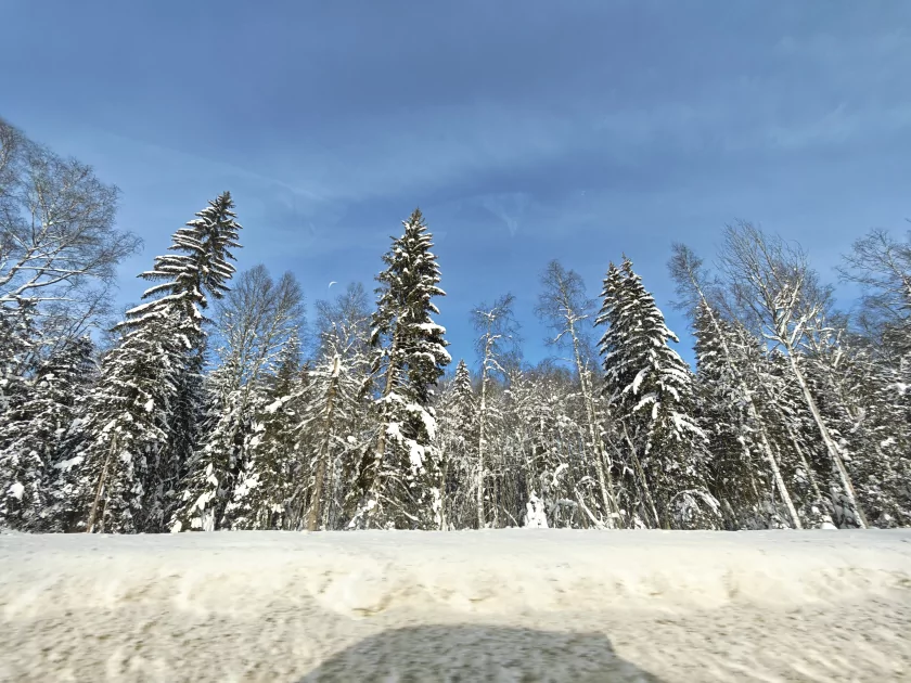 200 Мп, флагманский чип и ёмкая батарея: обзор HONOR Magic8 Pro — Качество снимков. 61