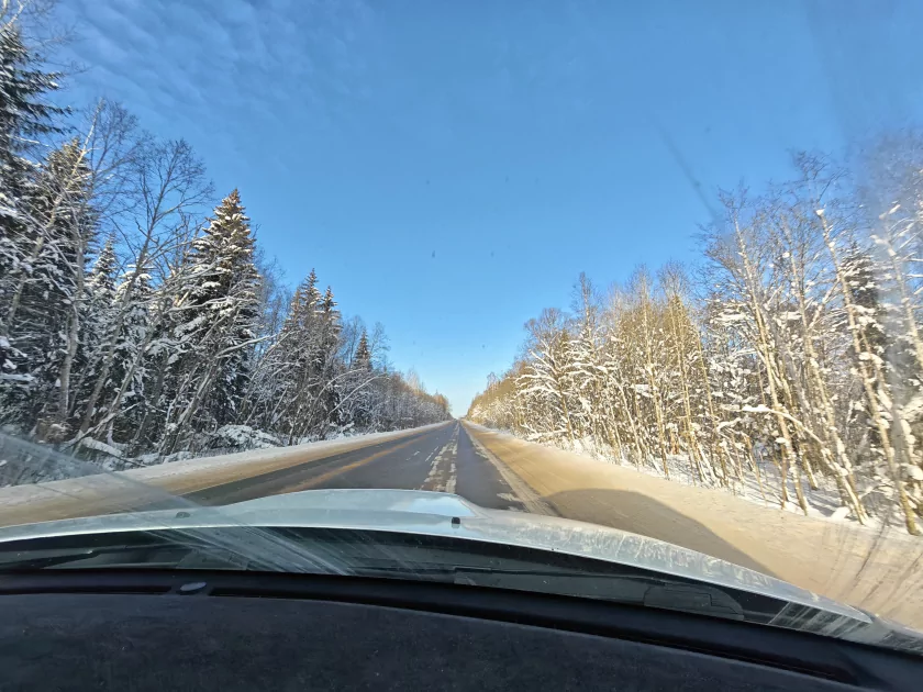 200 Мп, флагманский чип и ёмкая батарея: обзор HONOR Magic8 Pro — Качество снимков. 62