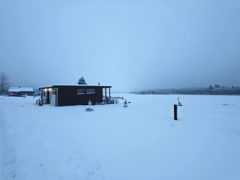 200 Мп, флагманский чип и ёмкая батарея: обзор HONOR Magic8 Pro — Качество снимков. 67