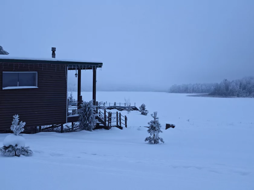 200 Мп, флагманский чип и ёмкая батарея: обзор HONOR Magic8 Pro — Качество снимков. 15