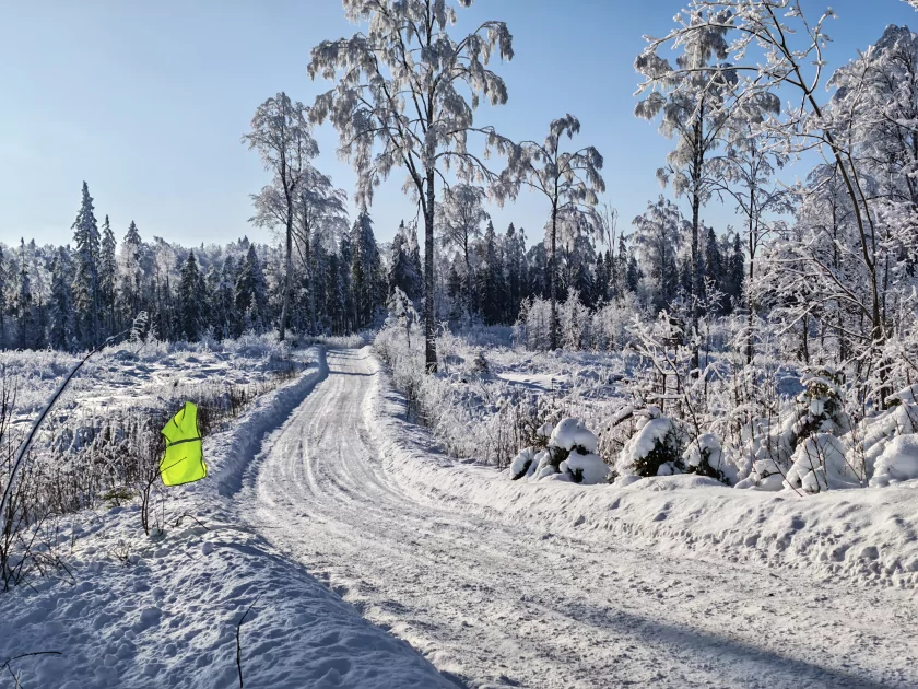 200 Мп, флагманский чип и ёмкая батарея: обзор HONOR Magic8 Pro — Качество снимков. 18