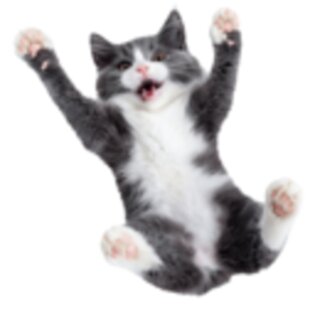 Super Cat Game. Скриншот 1