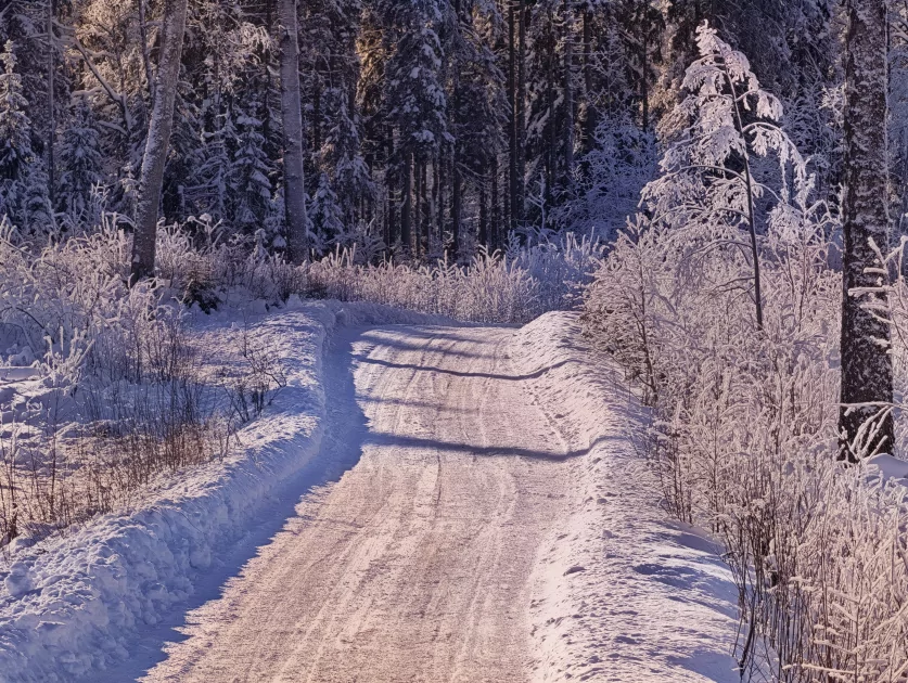 200 Мп, флагманский чип и ёмкая батарея: обзор HONOR Magic8 Pro — Качество снимков. 36
