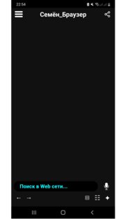 Семён_Браузер 2.0. Скриншот 1