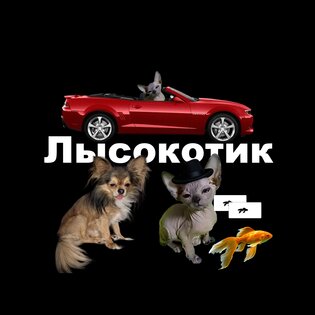 Лысокотик. Скриншот 9