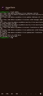 HyperTerm. Скриншот 1