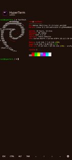 HyperTerm. Скриншот 2