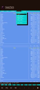HyperTerm. Скриншот 4