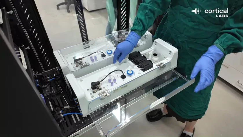 Компьютер на клетках человеческого мозга CL1 научился играть в Doom