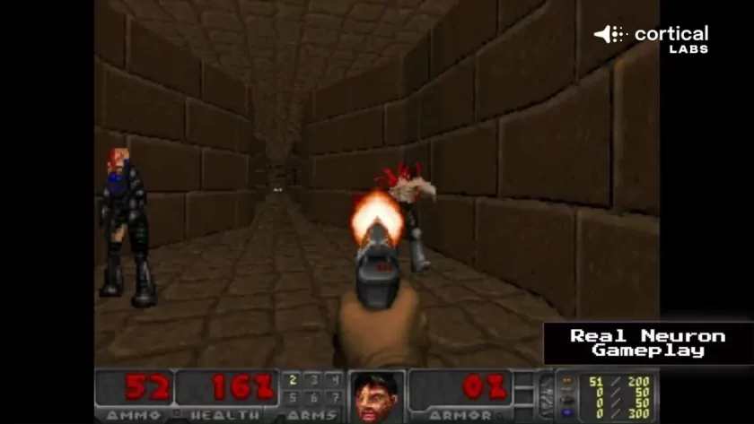 Компьютер на клетках человеческого мозга CL1 научился играть в Doom