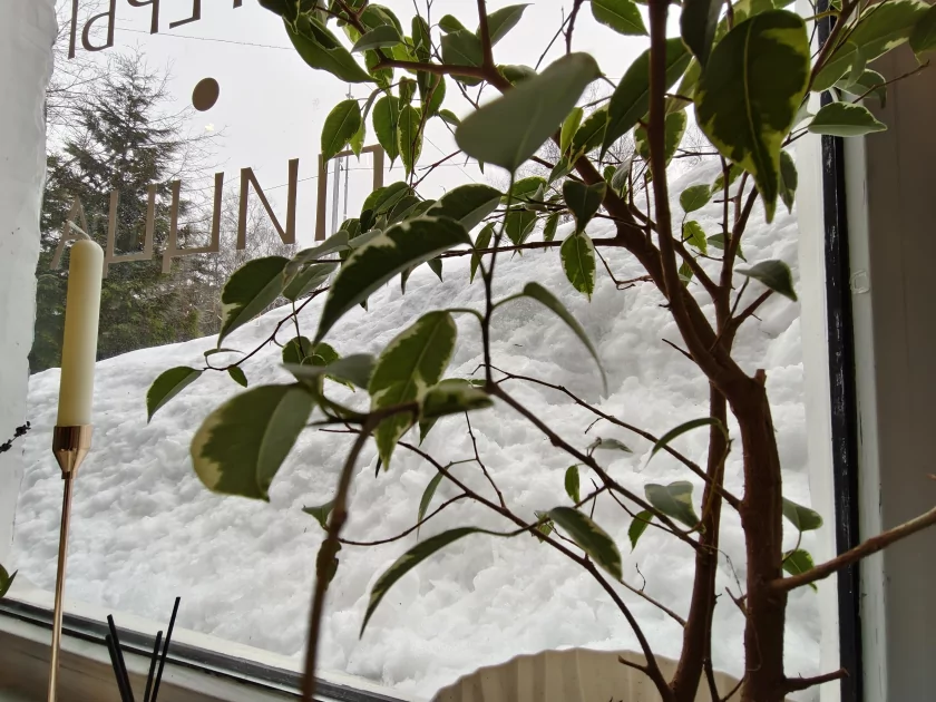 Флагманам пора на пенсию? Обзор iQOO 15R — небольшого и мощного смартфона с огромной батареей — Камеры. 38