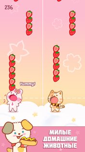 Duet Friends — Kawaii Music 2.1.0. Скриншот 3