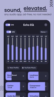 Echo Equalizer 6.0. Скриншот 9