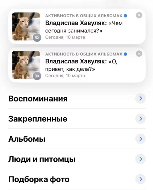 Российские владельцы iPhone начали общаться между собой в приложении «Фото»