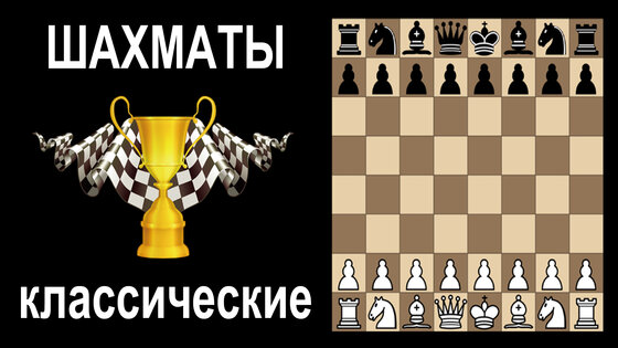 Шахматы без интернета на двоих 2.13. Скриншот 11