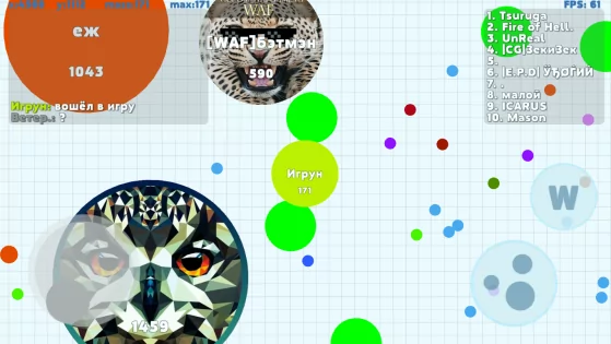 Чашка Петри 4.8.3. Скриншот 3