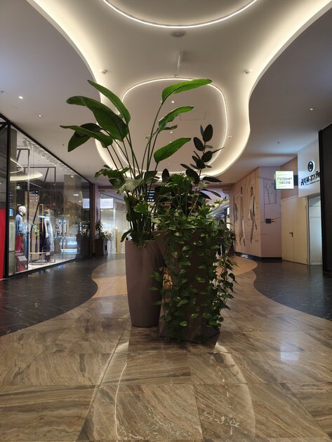 Топ за свои деньги… или всё же нет? Обзор POCO X8 Pro Max — Качество снимков. 13