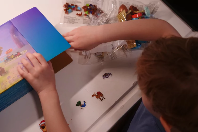 Ярко, интересно и понятно: обзор конструкторов Brick Labs по «Смешарикам»