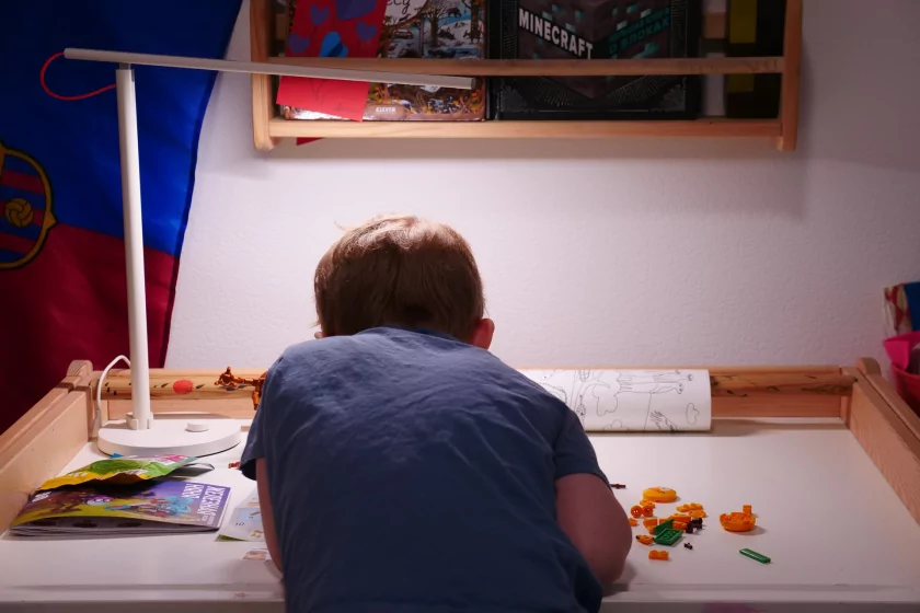 Ярко, интересно и понятно: обзор конструкторов Brick Labs по «Смешарикам»