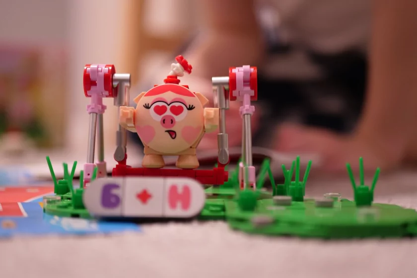 Ярко, интересно и понятно: обзор конструкторов Brick Labs по «Смешарикам»