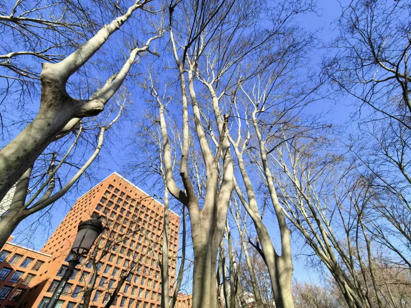 Стильный камерафон, который не боится дождя и падений: обзор HUAWEI Mate 80 Pro