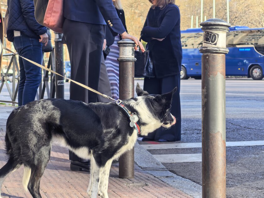 Стильный камерафон, который не боится дождя и падений: обзор HUAWEI Mate 80 Pro