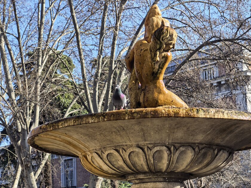 Стильный камерафон, который не боится дождя и падений: обзор HUAWEI Mate 80 Pro