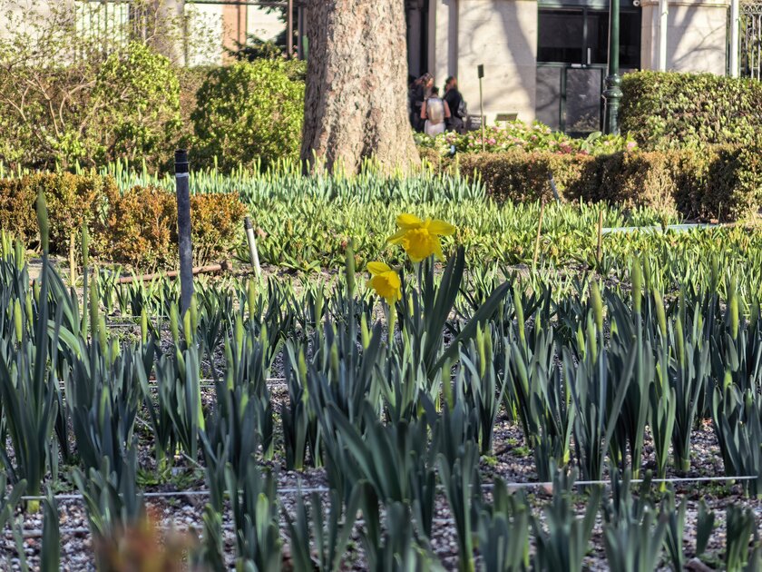 Стильный камерафон, который не боится дождя и падений: обзор HUAWEI Mate 80 Pro