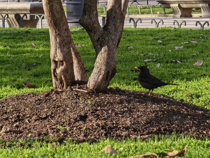 Стильный камерафон, который не боится дождя и падений: обзор HUAWEI Mate 80 Pro