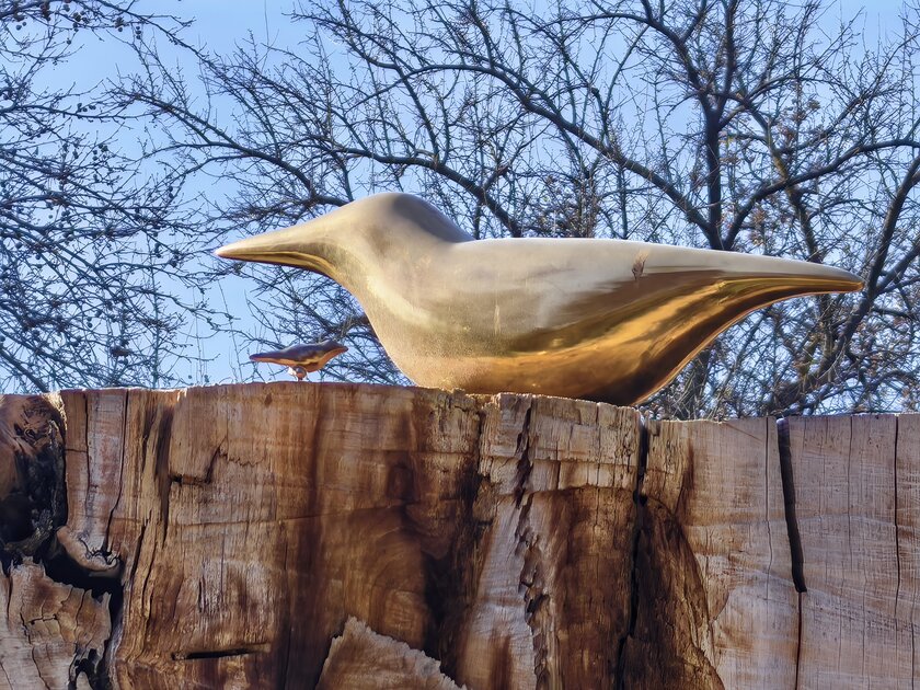 Стильный камерафон, который не боится дождя и падений: обзор HUAWEI Mate 80 Pro