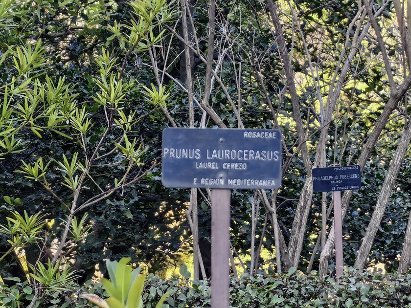 Стильный камерафон, который не боится дождя и падений: обзор HUAWEI Mate 80 Pro