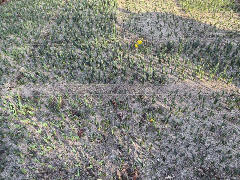 Стильный камерафон, который не боится дождя и падений: обзор HUAWEI Mate 80 Pro