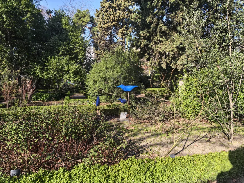 Стильный камерафон, который не боится дождя и падений: обзор HUAWEI Mate 80 Pro