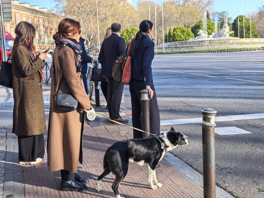 Стильный камерафон, который не боится дождя и падений: обзор HUAWEI Mate 80 Pro