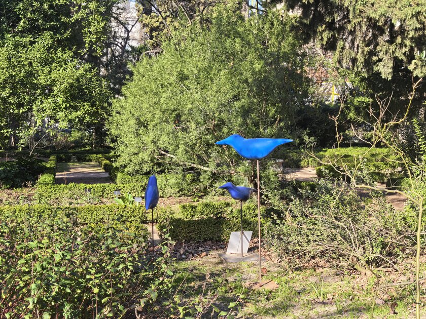 Стильный камерафон, который не боится дождя и падений: обзор HUAWEI Mate 80 Pro