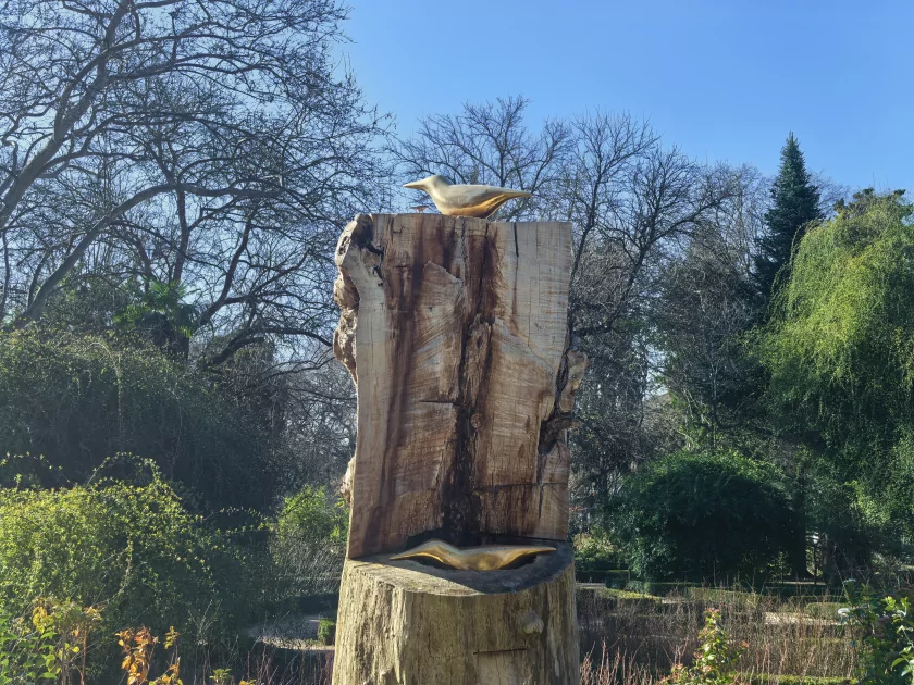 Стильный камерафон, который не боится дождя и падений: обзор HUAWEI Mate 80 Pro