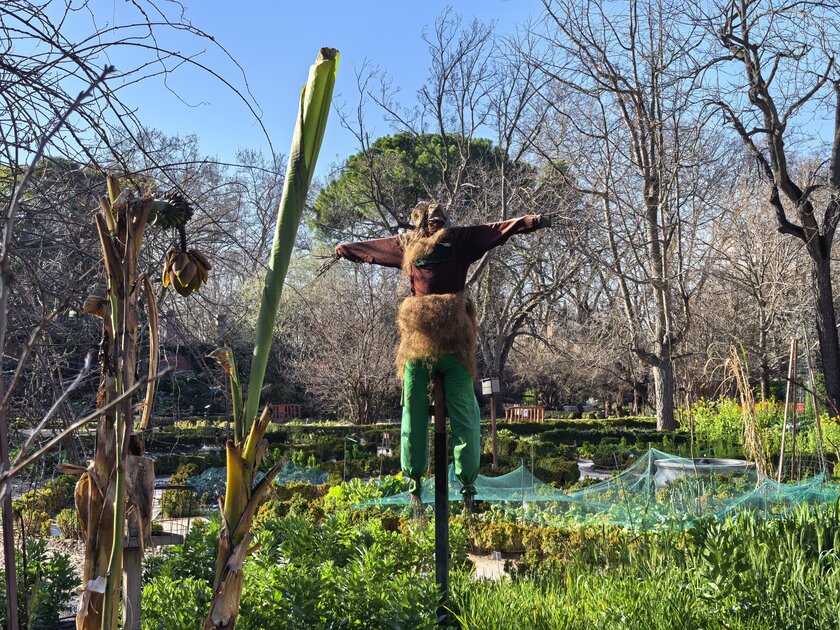 Стильный камерафон, который не боится дождя и падений: обзор HUAWEI Mate 80 Pro