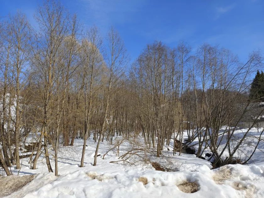 Единственный в своем роде? Обзор realme 16 Pro+ с оптическим зумом и батареей на 7000 мАч