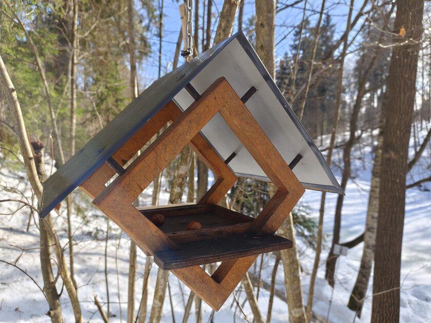 Единственный в своем роде? Обзор realme 16 Pro+ с оптическим зумом и батареей на 7000 мАч