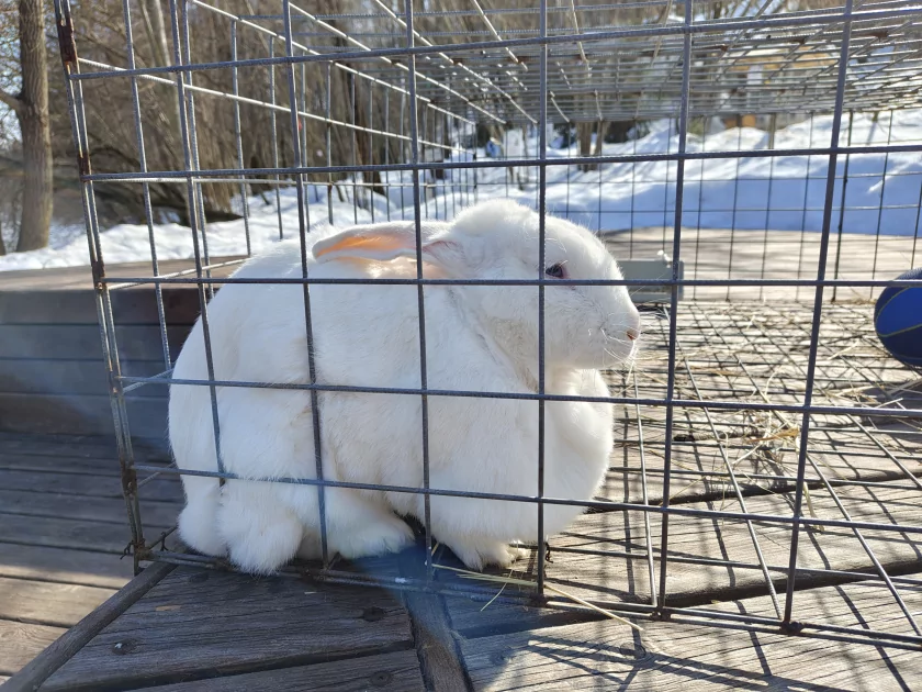 Единственный в своем роде? Обзор realme 16 Pro+ с оптическим зумом и батареей на 7000 мАч