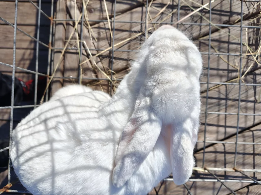 Единственный в своем роде? Обзор realme 16 Pro+ с оптическим зумом и батареей на 7000 мАч