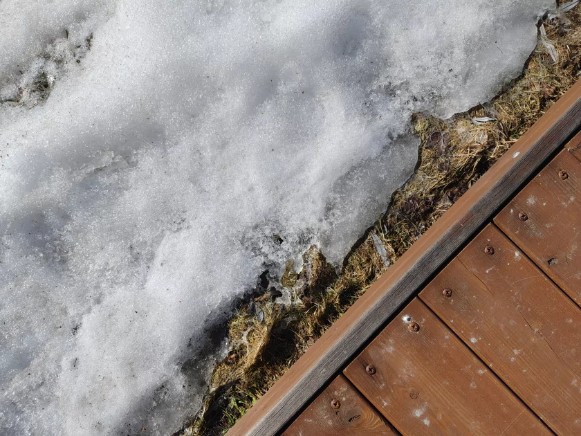 Единственный в своем роде? Обзор realme 16 Pro+ с оптическим зумом и батареей на 7000 мАч