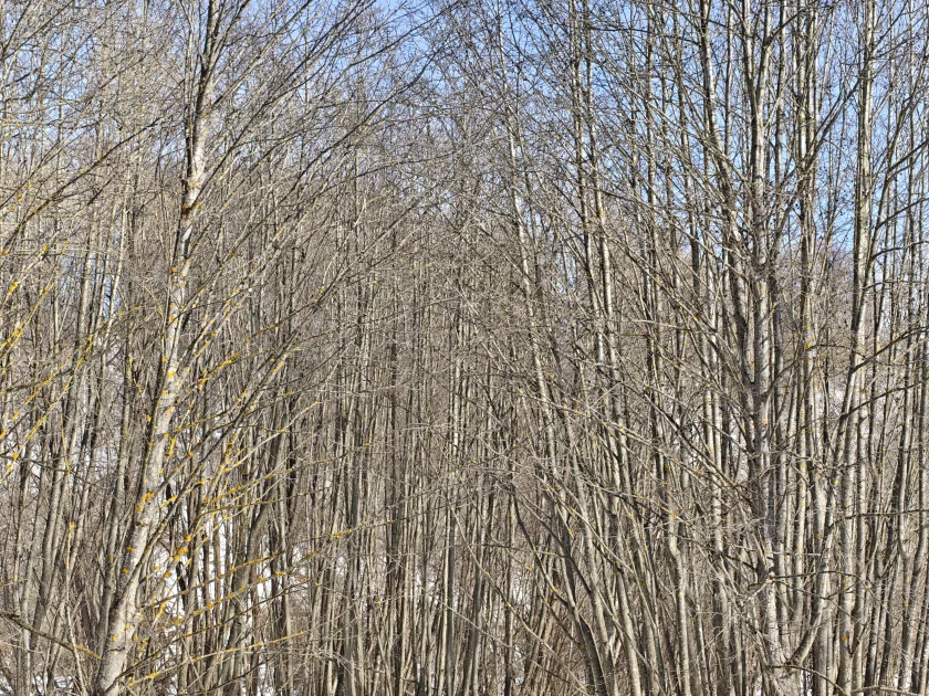 Единственный в своем роде? Обзор realme 16 Pro+ с оптическим зумом и батареей на 7000 мАч