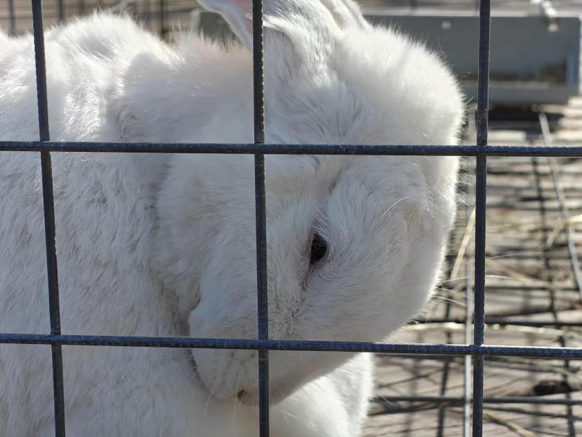 Единственный в своем роде? Обзор realme 16 Pro+ с оптическим зумом и батареей на 7000 мАч