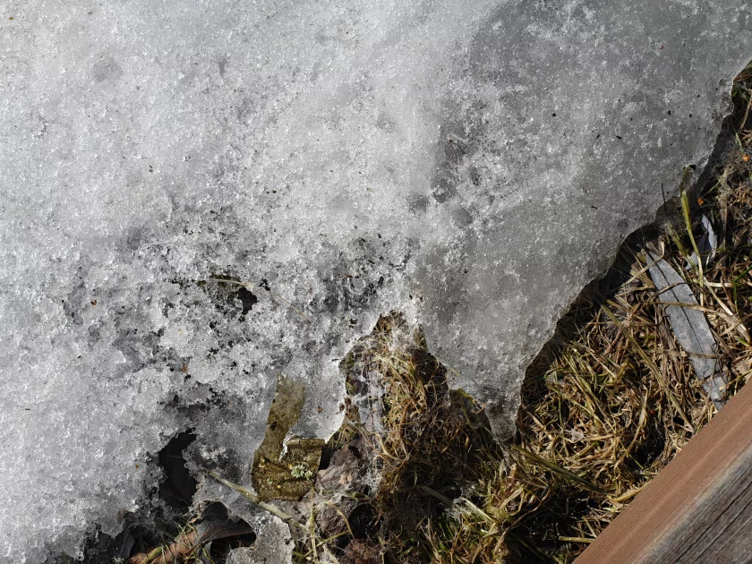 Единственный в своем роде? Обзор realme 16 Pro+ с оптическим зумом и батареей на 7000 мАч