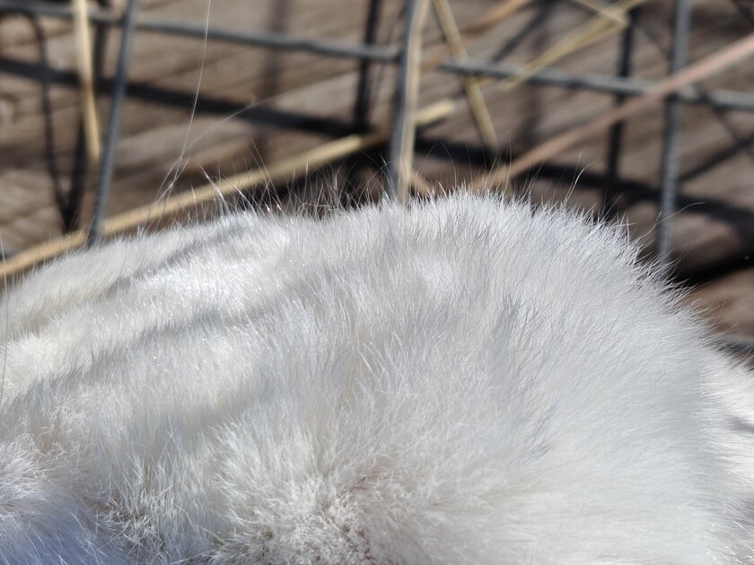 Единственный в своем роде? Обзор realme 16 Pro+ с оптическим зумом и батареей на 7000 мАч