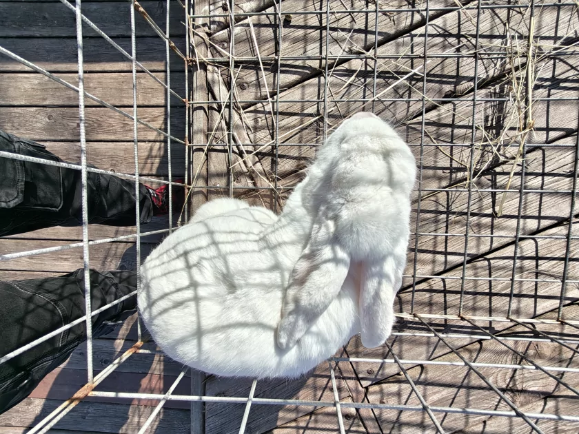 Единственный в своем роде? Обзор realme 16 Pro+ с оптическим зумом и батареей на 7000 мАч